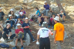 פעילות פשצים תשעז